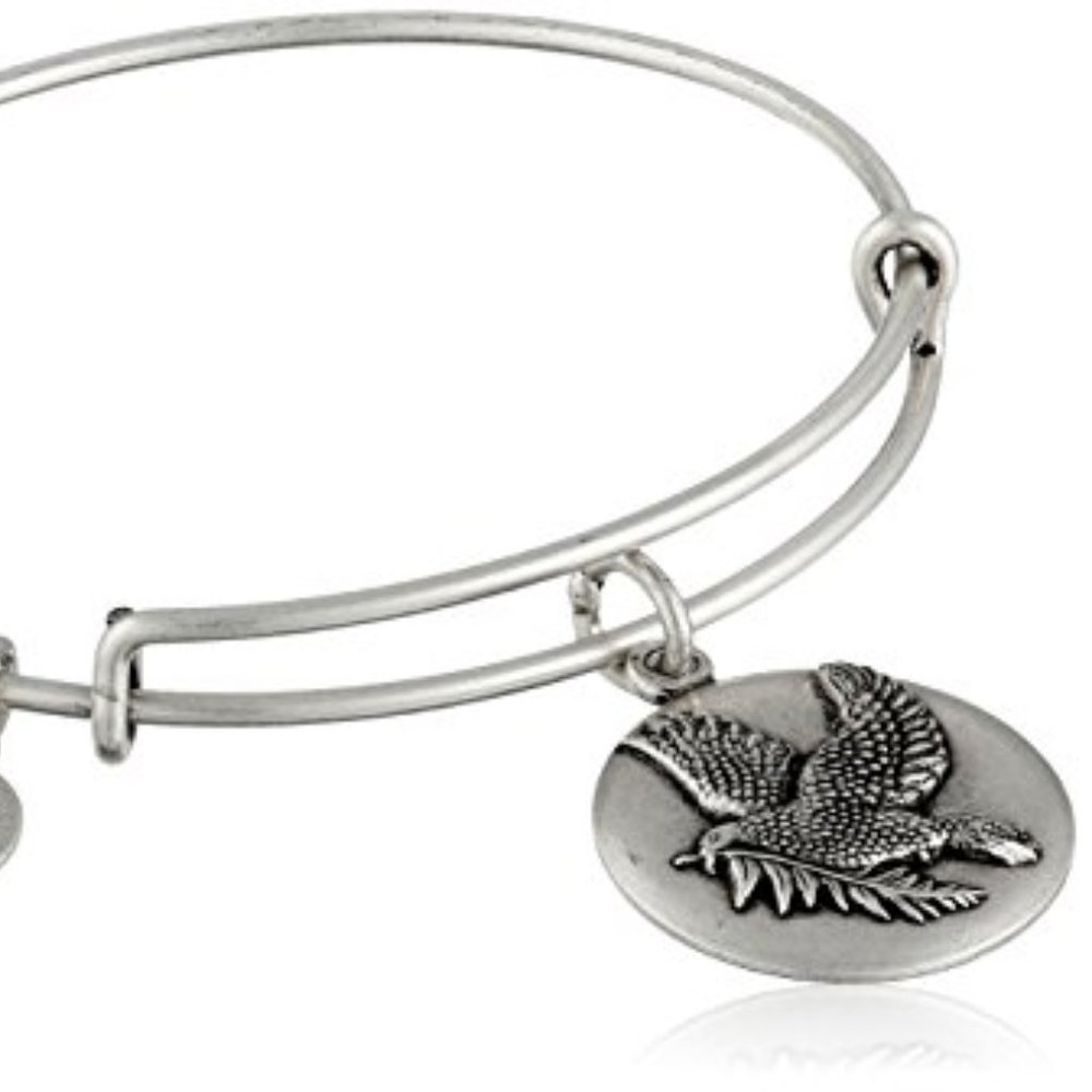 NWT Alex & Ani Bracelet Sacred Dove Silver